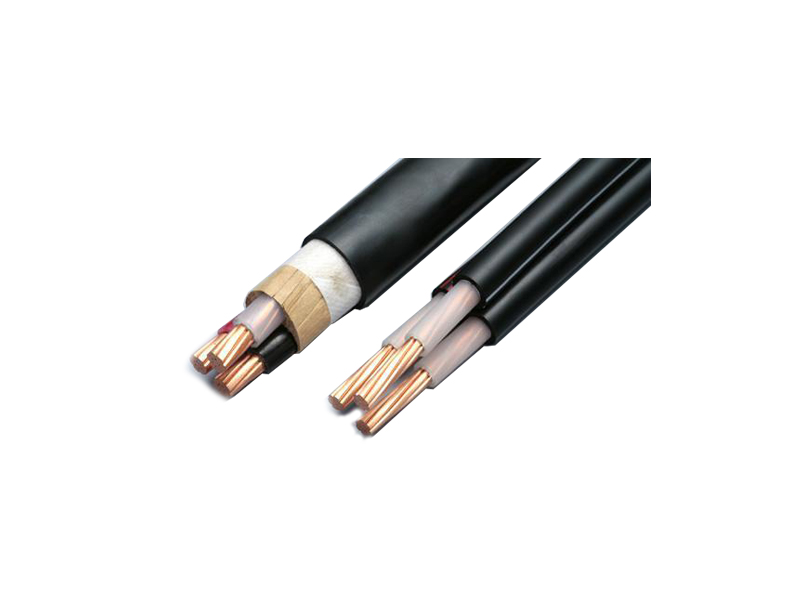 AFR250�͸��µ���